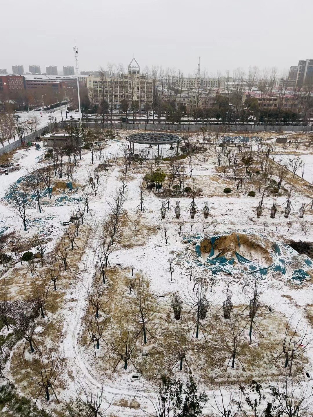无人机俯拍积雪覆盖的果园