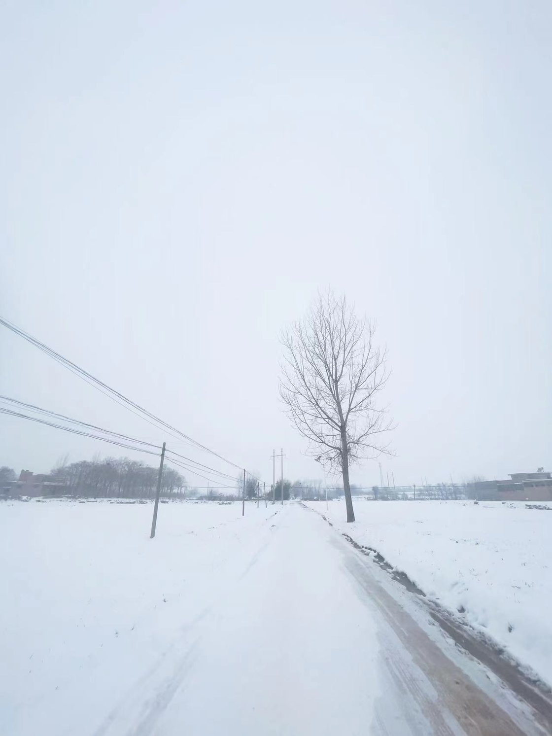 大雪中的乡村道路和田野