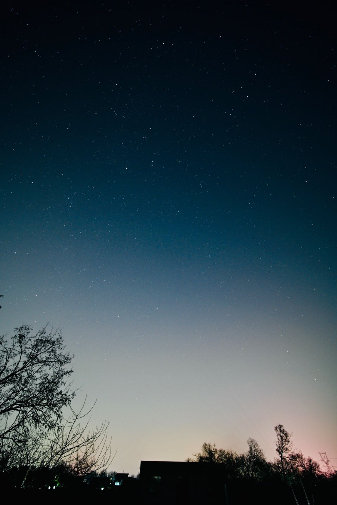 树影上方的冬夜星空